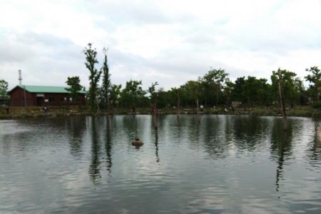 雨のフィッシングパーク高島の泉